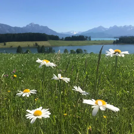 Lieblingsplatz-fuessen - Stilvoll Urlauben & Wohnen フュッセン