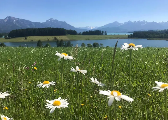 Lieblingsplatz-füssen - Stilvoll Urlauben&wohnen Füssen